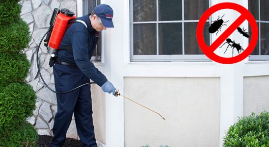 Gümüşpala Kemirgen İlaçlama böcek ilaçlama ve haşere kontrolü — ilaclama-tr.com